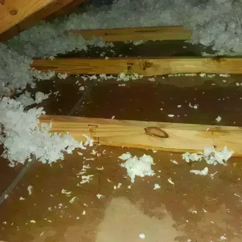 Attic Water Damage in LaSalle County, IL