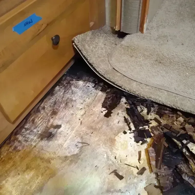 Wood Floor Water Damage in LaSalle County, IL